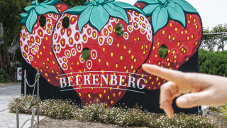 한도프 딸기 농장...